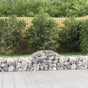 Arched Gabion Baskets 9 pcs 200x50x40/60 cm Galvanised Iron