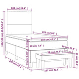 Box Spring Bed with Mattress Dark Grey 107x203 cm King Single Fabric