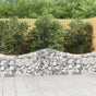 Arched Gabion Basket 200x30x60/80 cm Galvanised Iron