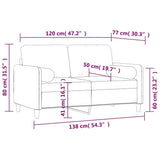 2-Seater Sofa with Pillows&Cushions Dark Grey 120 cm Velvet