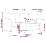 2-Seater Sofa with Pillows&Cushions Light Grey 120 cm Fabric