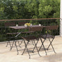 Folding Chairs 4 pcs Brown Poly Rattan and Steel
