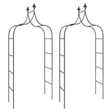 Garden Arches 2 pcs Black 120x38x260 cm Steel