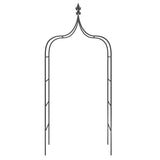 Garden Arches 2 pcs Black 120x38x260 cm Steel