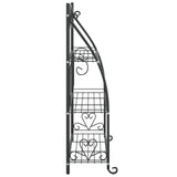 Flower Rack Black 56x30x96 cm Steel