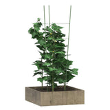 Garden Plant Supports with 4 Rings 5 pcs Green 90 cm Steel - Side View