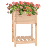 Planter with Shelf 54x54x81 cm Solid Wood Pine - Top-Down View