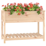 Planter with Shelf 111.5x54x81 cm Solid Wood Pine - Top-Down View