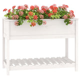 Planter with Shelf White 111.5x54x81 cm Solid Wood Pine - Top-Down View