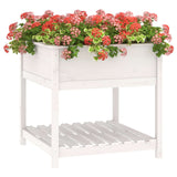 Planter with Shelf White 82.5x82.5x81 cm Solid Wood Pine - Top-Down View