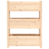 Planter 77x25x104.5 cm Solid Wood Pine - 45-Degree Angle