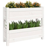 Planter White 77x25x66 cm Solid Wood Pine - Top-Down View