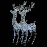 XXL Acrylic Christmas Reindeers 250 LED 2 pcs 180 cm Cold white - Front View