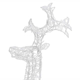 Reindeer Christmas Decorations 2 pcs 60x16x100 cm Acrylic - 45-Degree Angle