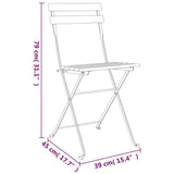 Folding Bistro Chairs 2 pcs Solid Wood Teak and Steel