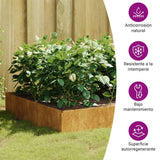 Garden Raised Bed 100x100x33.5 cm Corten Steel - Extra Image
