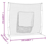 Portable Baseball Net Orange and Black 219x107x212 cm Steel and Polyester