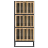 Shoe Cabinet Black 52x25x120 cm Engineered Wood - Top-Down View