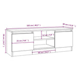 TV Cabinet with Door Black 102x30x36 cm - Extra Image