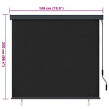 Roller Blind Anthracite 180 x 250 cm Fabric and Aluminum - Low Angle