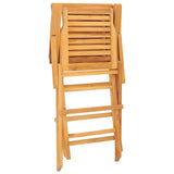 Folding Garden Chairs 2 pcs 56x63x90 cm Solid Wood Teak - Rear View