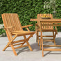 Folding Chairs 2 pcs 61x67x90 cm Solid Wood Teak