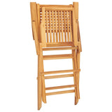 Folding Garden Chairs 2 pcs 55x62x90 cm Solid Wood Teak - Rear View