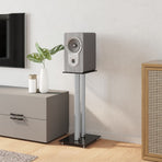 Speaker Stands 2pcs Black&Silver 2 Pillars Design