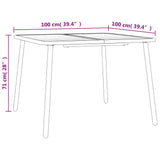 Garden Table Anthracite 100x100x71 cm Steel