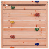 Outdoor Playset Solid Wood Douglas - Extra Image