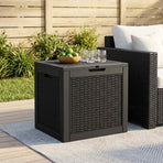 Garden Storage Box Black 55.5x43x53 cm Polypropylene
