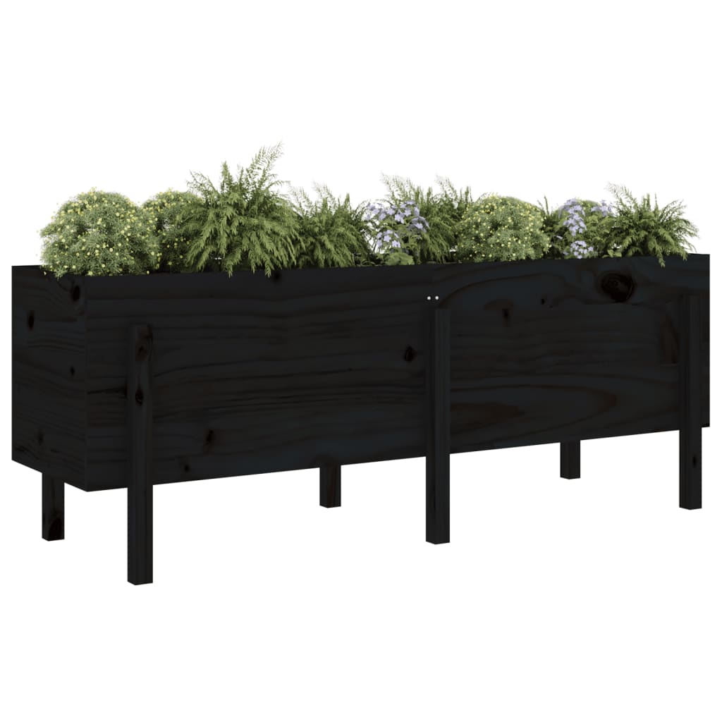 Garden Raised Bed Black 160x50x57 cm Solid Wood Pine