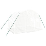 Greenhouse with Steel Frame White 6 m? 3x2x2 m