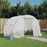 Greenhouse with Steel Frame White 6 m? 3x2x2 m