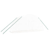 Greenhouse with Steel Frame White 12 m? 6x2x2.85 m