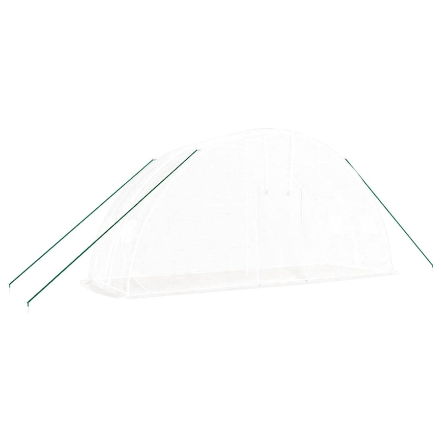 Greenhouse with Steel Frame White 12 m? 6x2x2.85 m