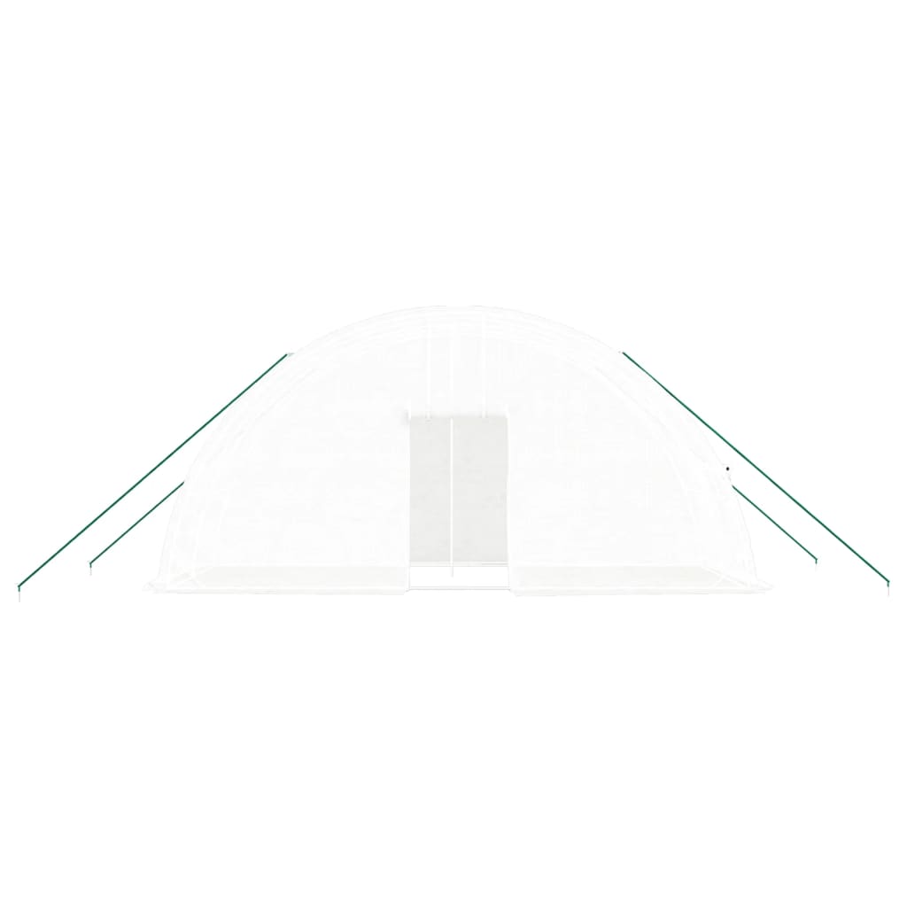 Greenhouse with Steel Frame White 12 m? 6x2x2.85 m