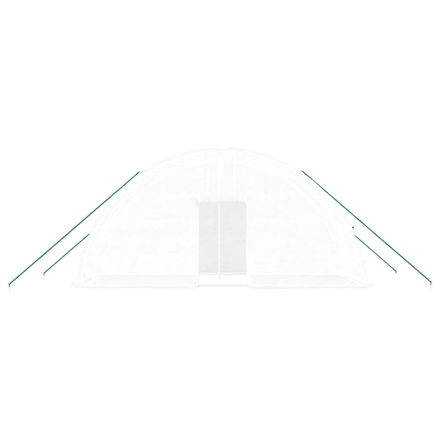 Greenhouse with Steel Frame White 12 m? 6x2x2.85 m