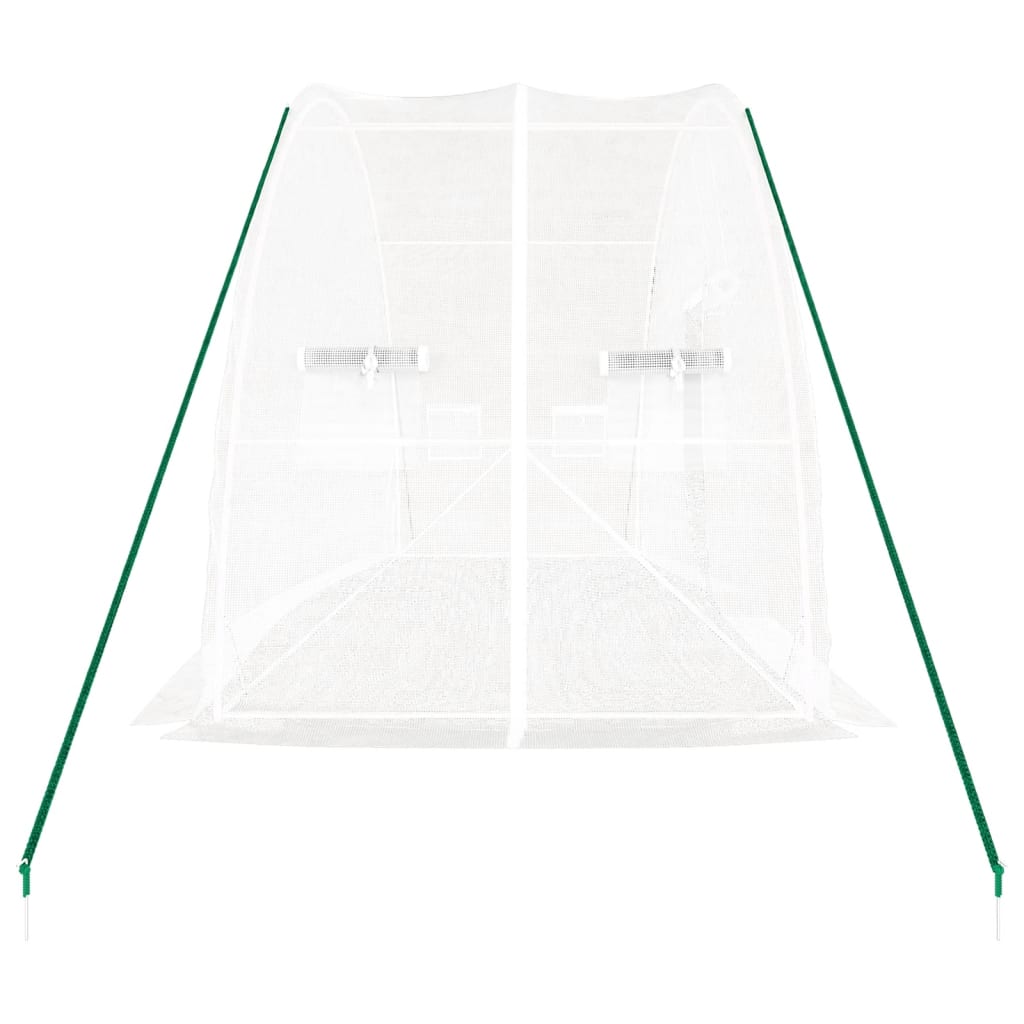 Greenhouse with Steel Frame White 12 m? 6x2x2.85 m