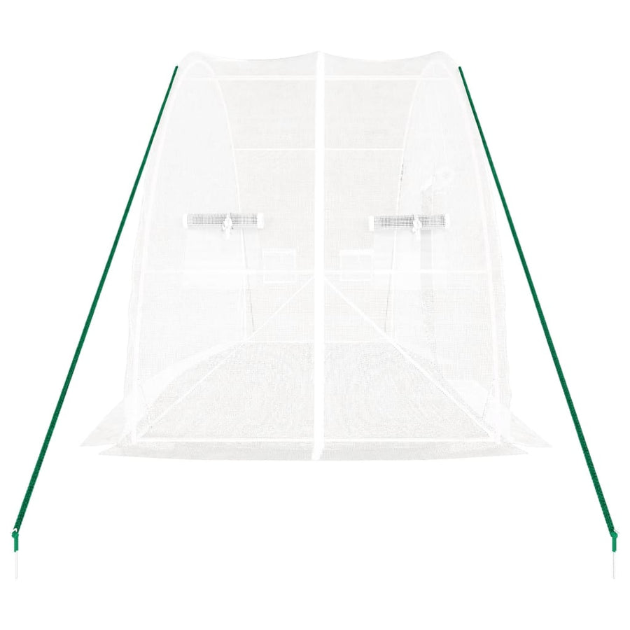 Greenhouse with Steel Frame White 12 m? 6x2x2.85 m