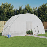 Greenhouse with Steel Frame White 12 m? 6x2x2.85 m