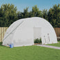 Greenhouse with Steel Frame White 12 m? 6x2x2.85 m