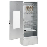 BBQ Oven Smoker with Wood Chips 44.5x29x110 cm Galvanised Steel