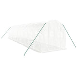 Greenhouse with Steel Frame White 20 m? 10x2x2 m