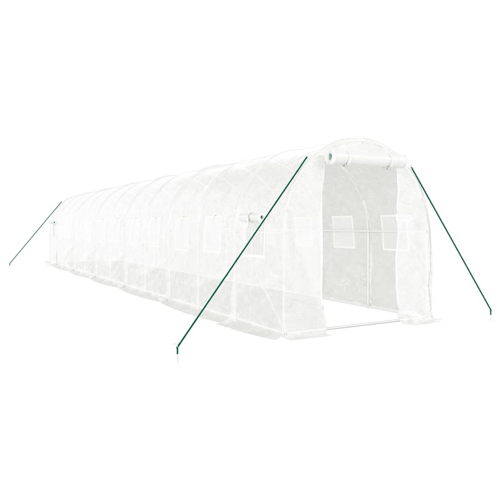 Greenhouse with Steel Frame White 24 m? 12x2x2 m