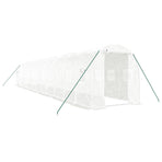 Greenhouse with Steel Frame White 24 m? 12x2x2 m