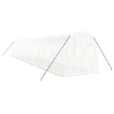 Greenhouse with Steel Frame White 24 m? 12x2x2 m
