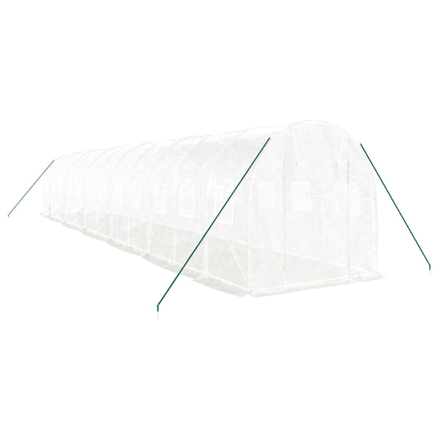 Greenhouse with Steel Frame White 24 m? 12x2x2 m