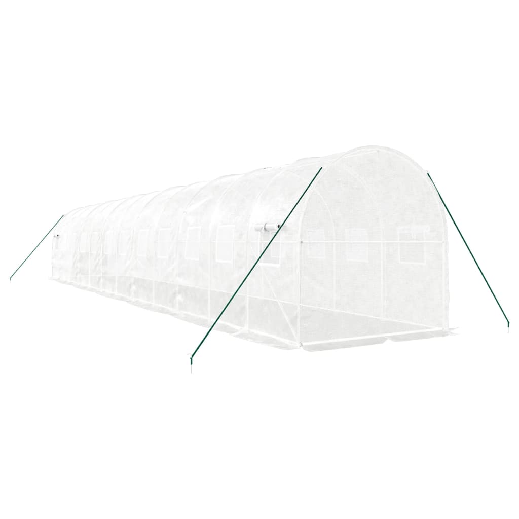 Greenhouse with Steel Frame White 24 m? 12x2x2 m