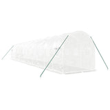 Greenhouse with Steel Frame White 24 m? 12x2x2 m